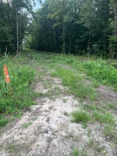 6572 N Hwy 17 Photo 5