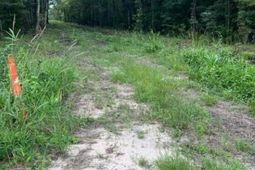 6572 N Hwy 17 photo 4