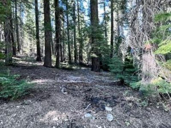 101 Snowshoe Ln, La Porte, CA 95981