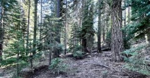 101 Snowshoe Ln, La Porte, CA 95981 Photo
