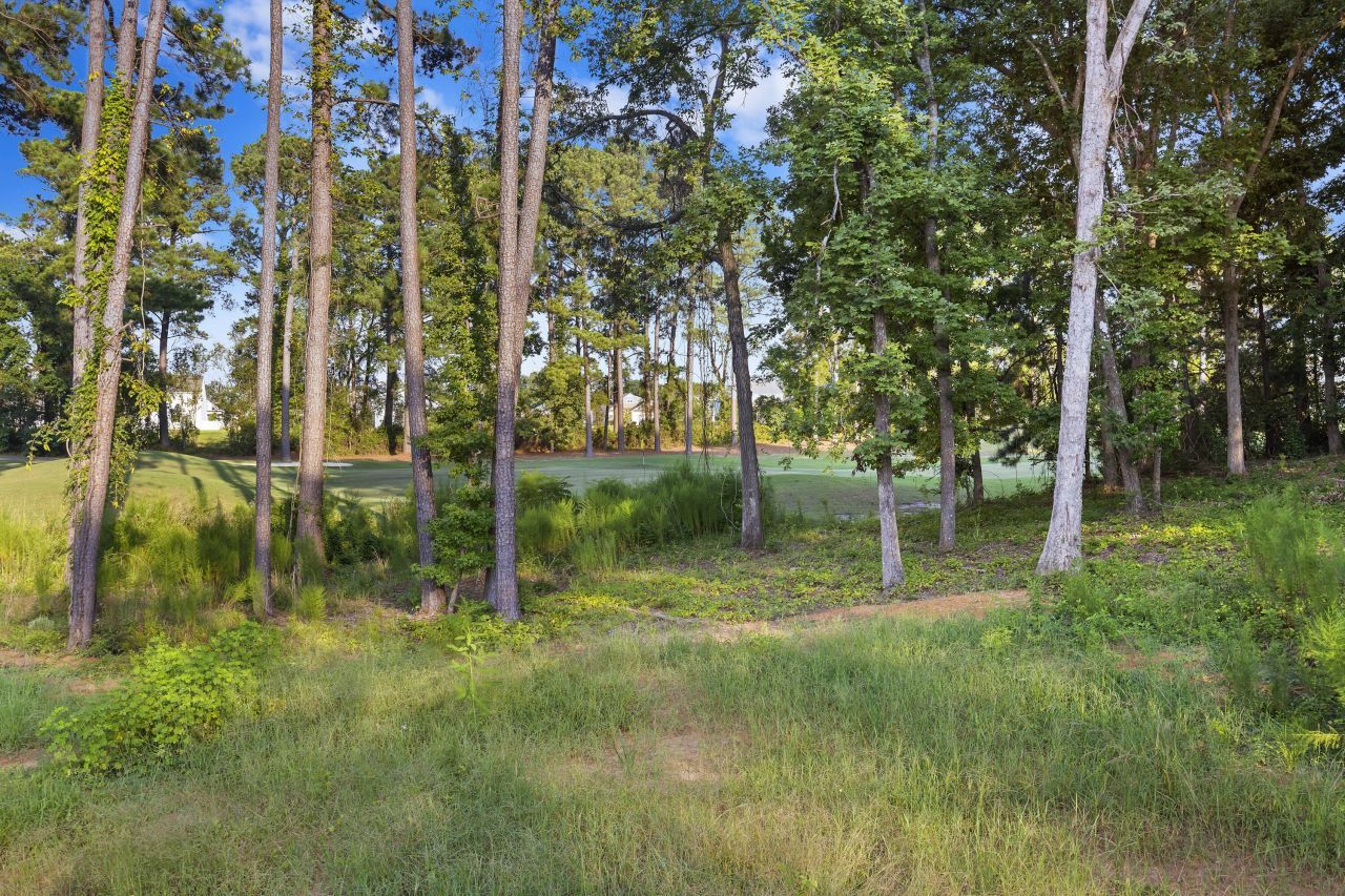 621 Plantation Drive Photo 31