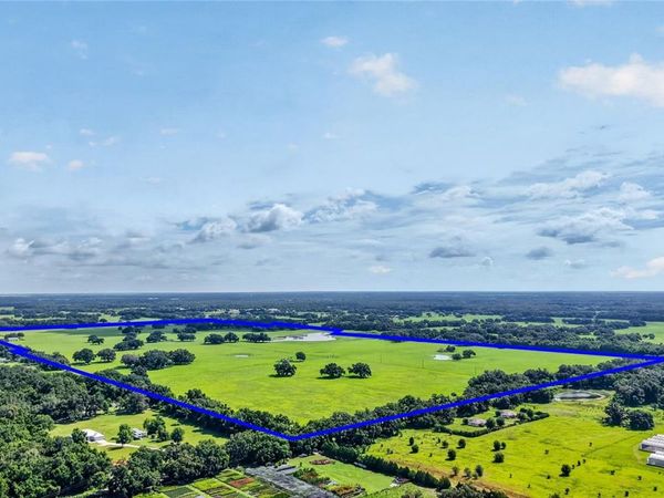 TBD E C 478, WEBSTER, FL 33597
