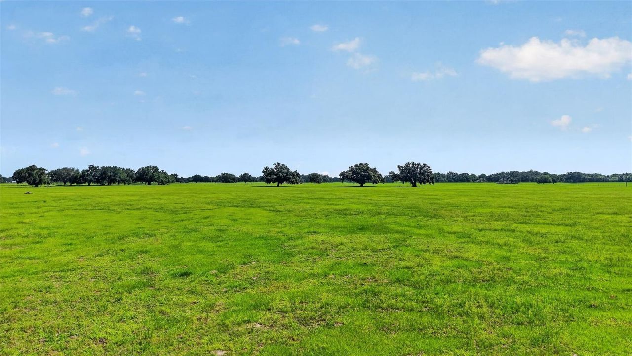 Tbd E C 478, Webster, FL 33597 Photo