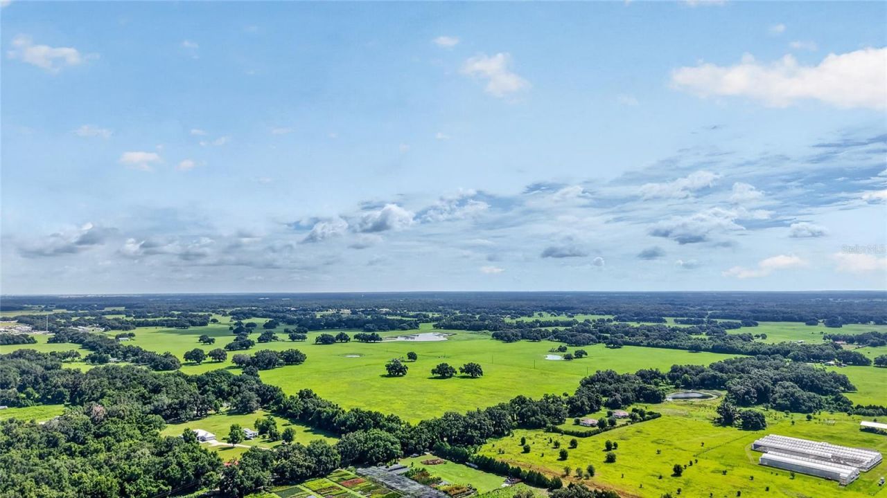 Tbd E C 478, Webster, FL 33597 Photo