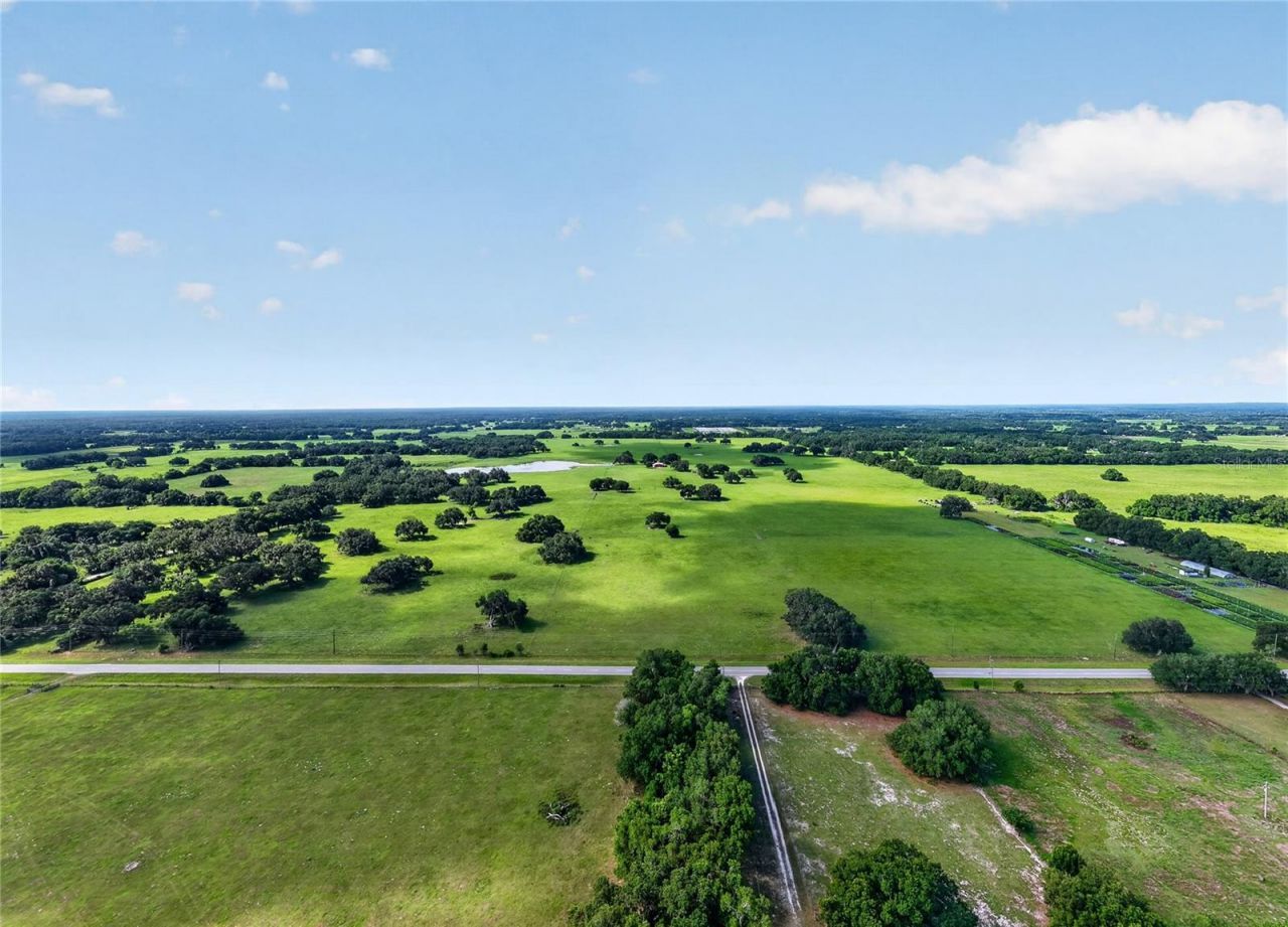 Tbd E C 478, Webster, FL 33597 Photo