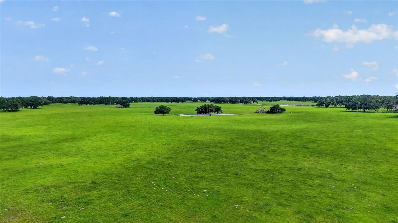 Tbd E C 478, Webster, FL 33597 Photo