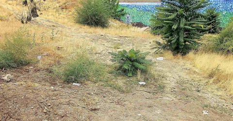 2065 Wedekind Road, Reno, NV 89512 Photo