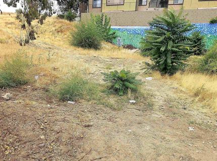 2065 Wedekind Road, Reno, NV 89512 Photo