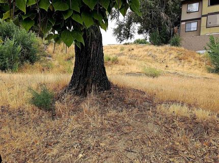 2065 Wedekind Road, Reno, NV 89512 Photo