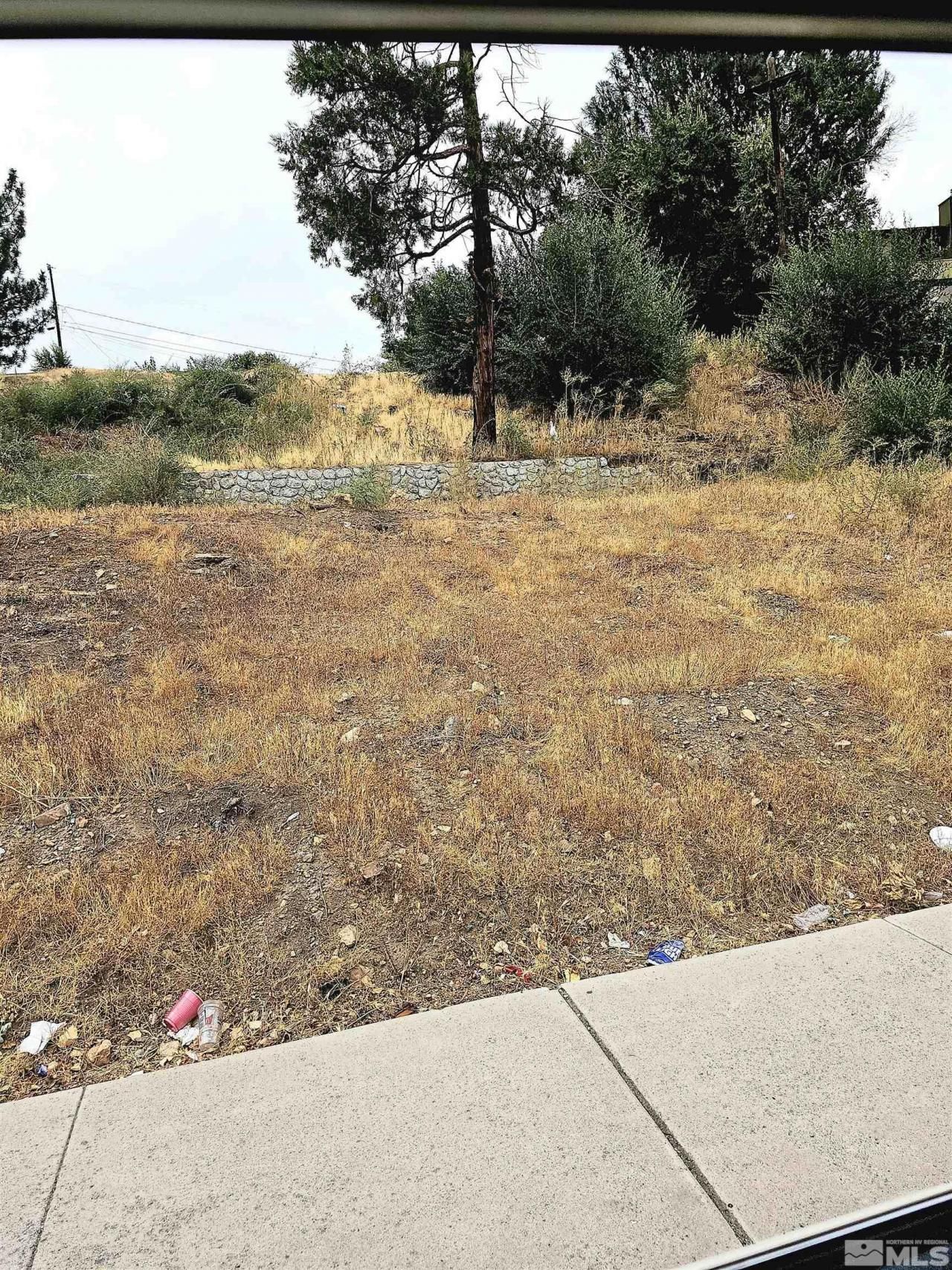 2065 Wedekind Road, Reno, NV 89512 Photo