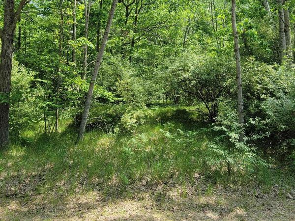 1144 Queensway Drive, Lake Isabella, MI 48893