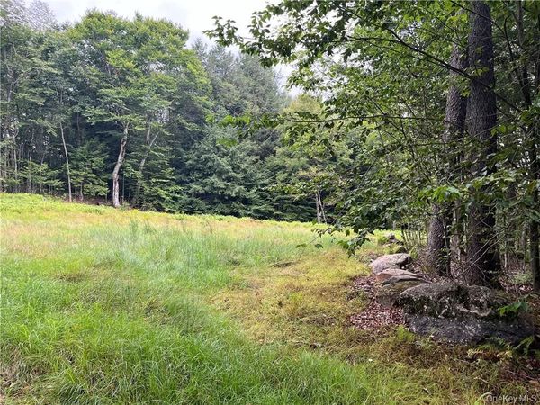 34 Black Bear Crossing, Claryville, NY 12725