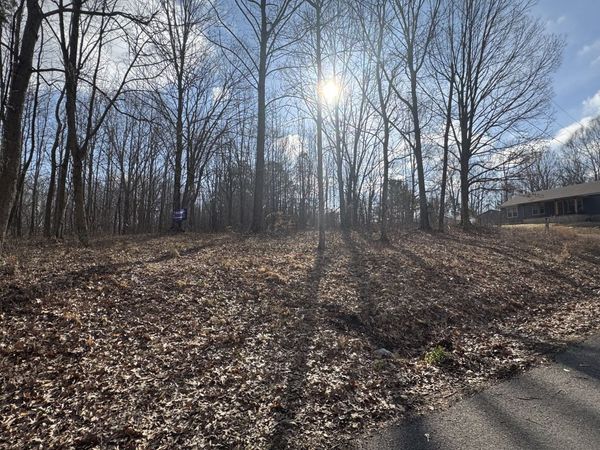 0 Crestview Dr, Bumpus Mills, TN 37028