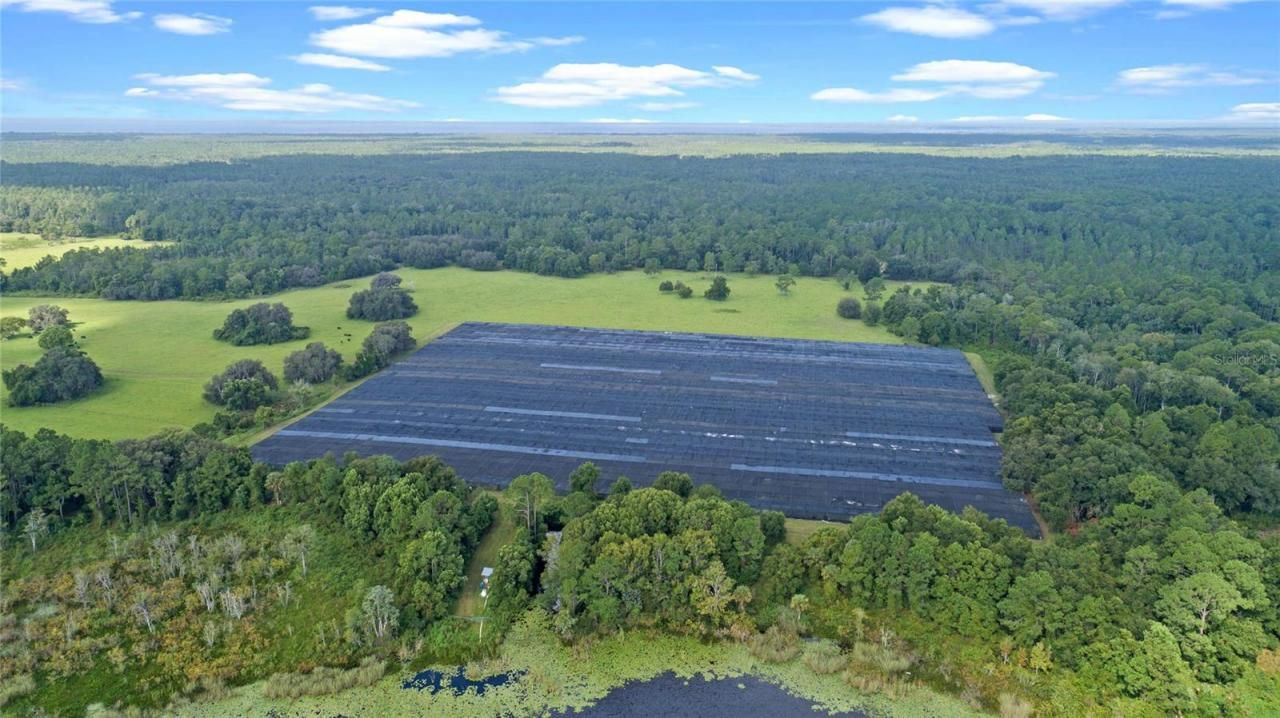 00 Silver Pond Road, Seville, FL 32190 Photo