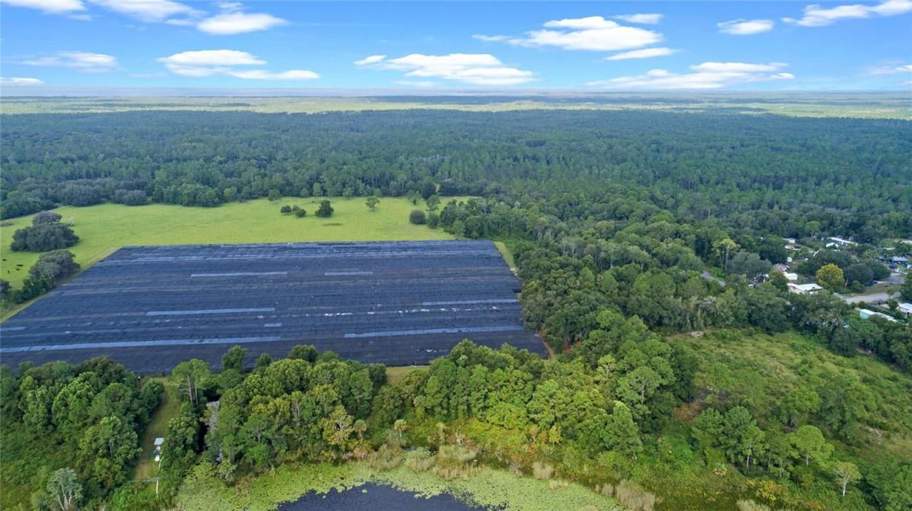 00 Silver Pond Road, Seville, FL 32190 Photo