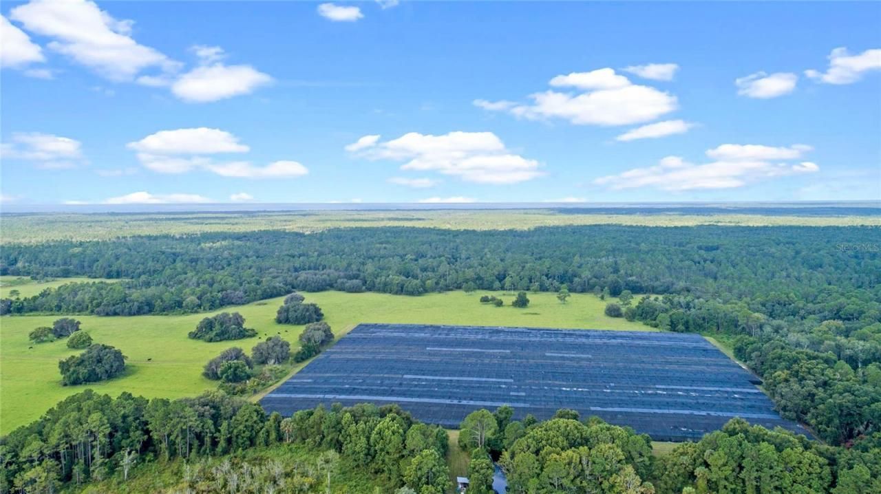 00 Silver Pond Road, Seville, FL 32190 Photo