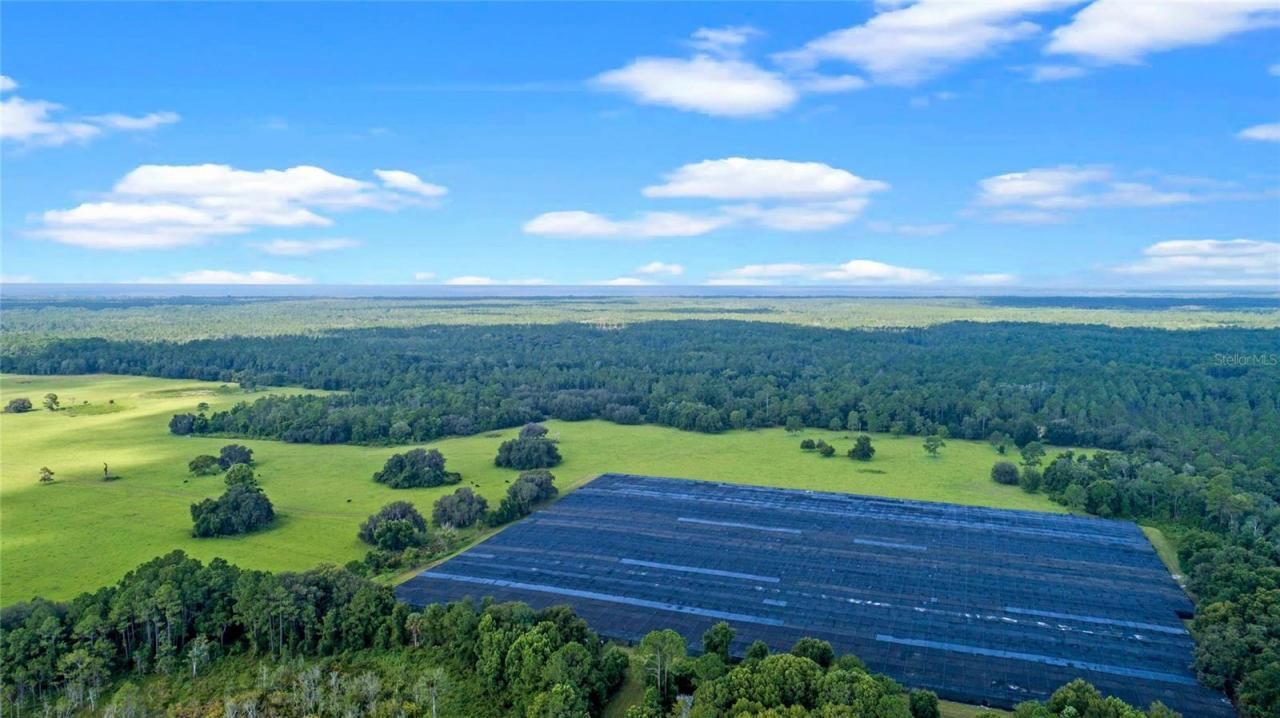 00 Silver Pond Road, Seville, FL 32190 Photo