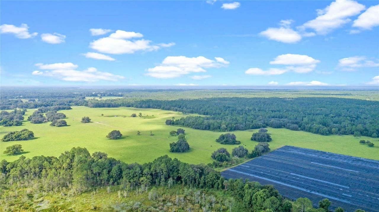 00 Silver Pond Road, Seville, FL 32190 Photo