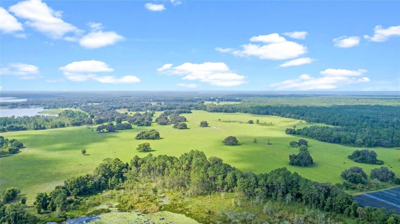 00 Silver Pond Road, Seville, FL 32190 Photo