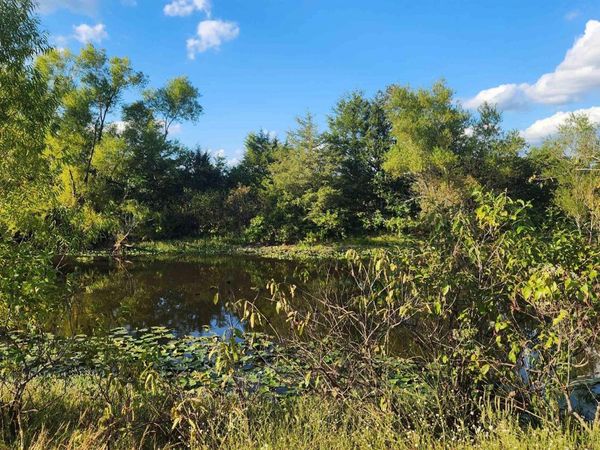 TBD Lynda Ln, Oden, AR 71961