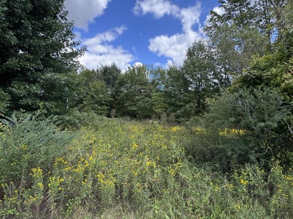 555 Charlie Lewis Road, Trenton, TN 38382