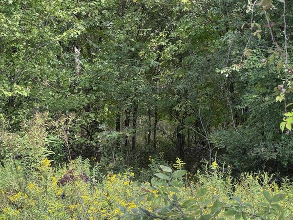 444 Charlie Lewis Road, Trenton, TN 38382