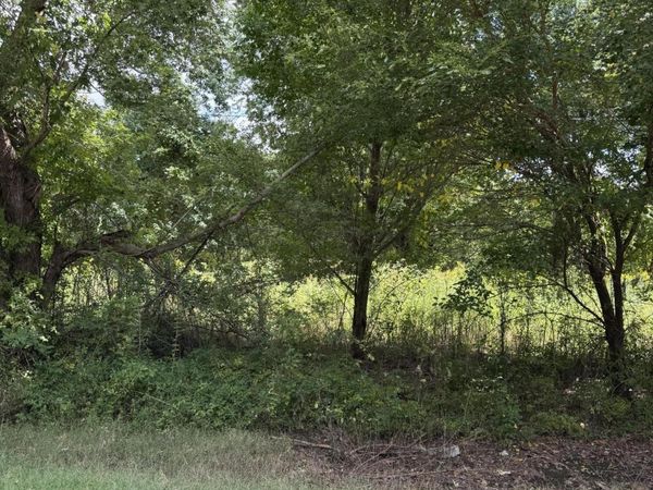 333 Charlie Lewis Road, Trenton, TN 38382