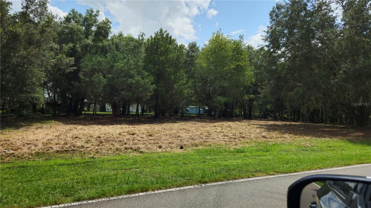 32551 Leonard Road, San Antonio, FL 33576 Photo