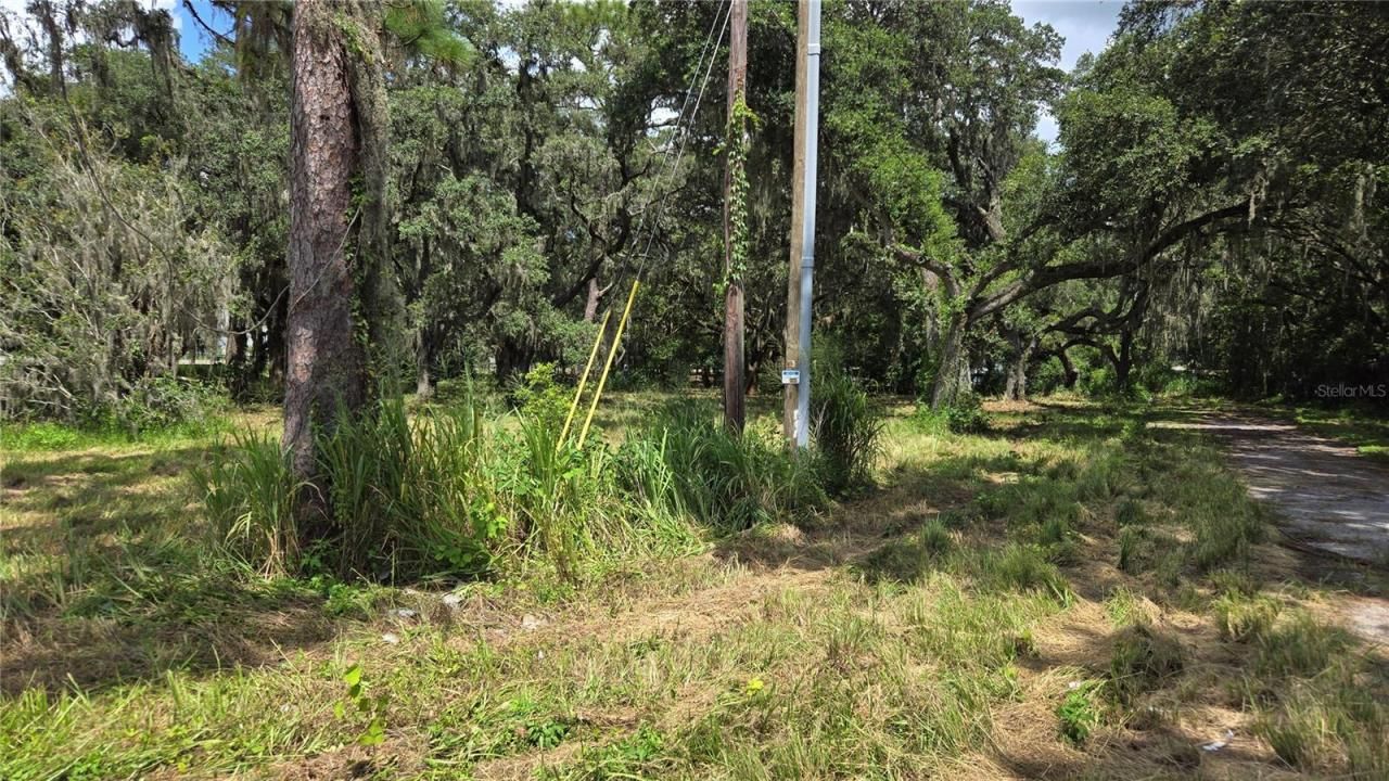 32551 Leonard Road, San Antonio, FL 33576 Photo