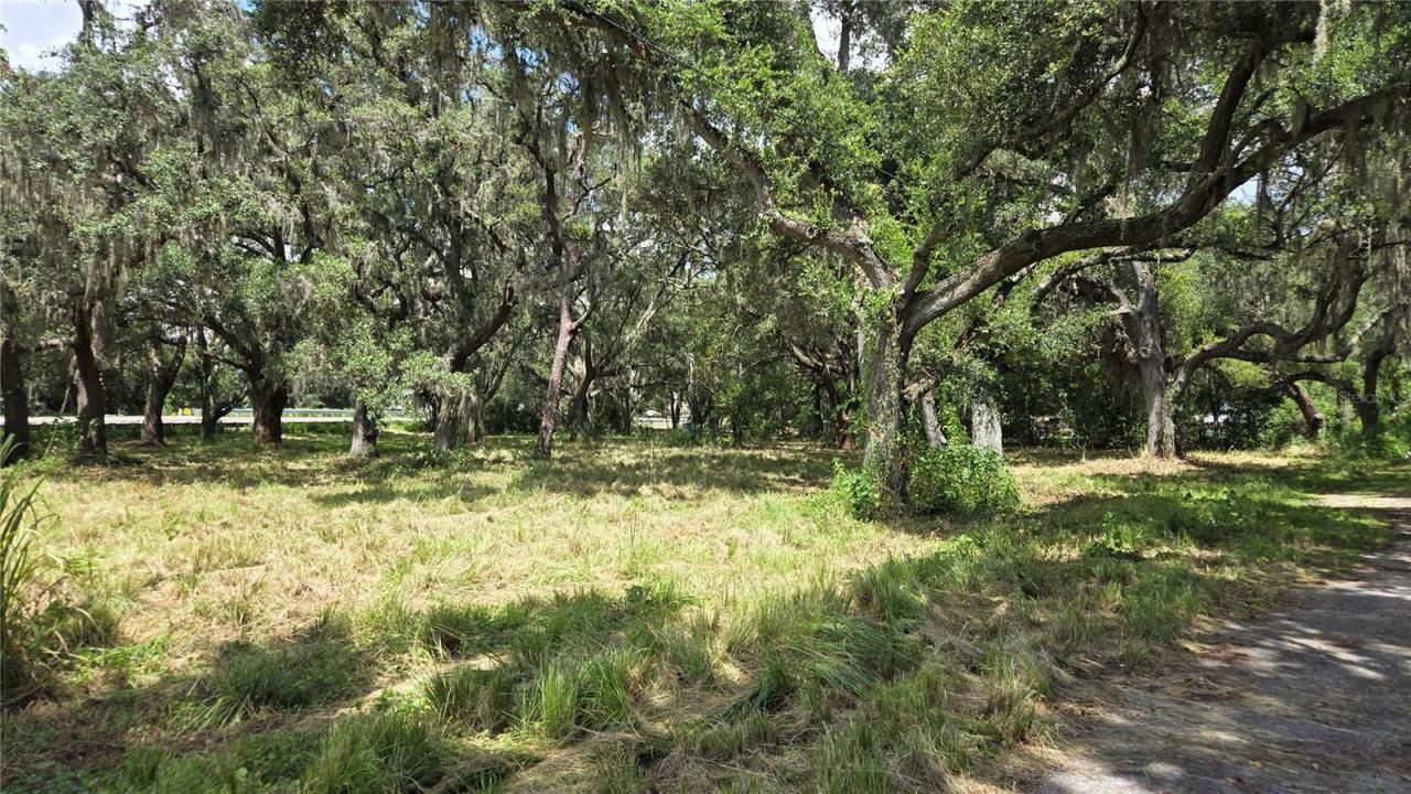 32551 Leonard Road, San Antonio, FL 33576 Photo