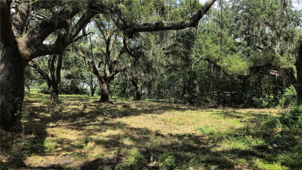 32551 Leonard Road, San Antonio, FL 33576 Photo