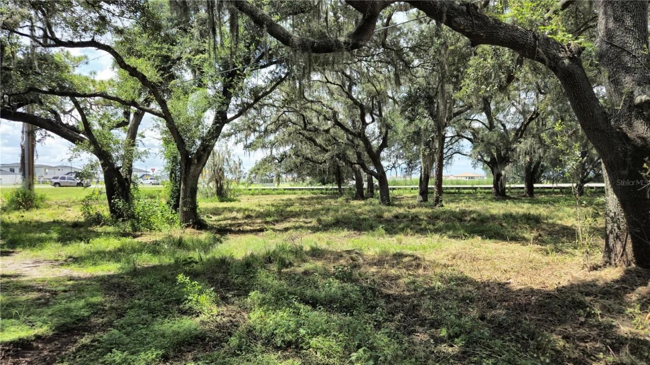 32551 Leonard Road, San Antonio, FL 33576 Photo