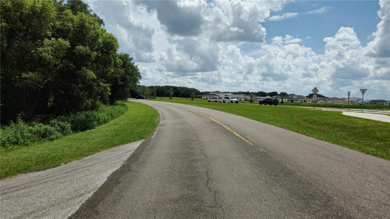 32551 Leonard Road, San Antonio, FL 33576 Photo