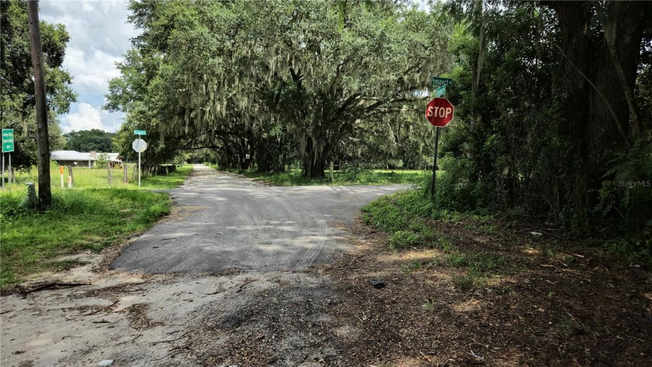 32551 Leonard Road, San Antonio, FL 33576 Photo