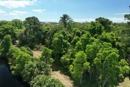 697 Jan Savage Way photo 4