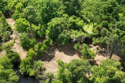 697 Jan Savage Way photo 4