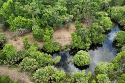 697 Jan Savage Way photo 4