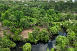 697 Jan Savage Way photo 4