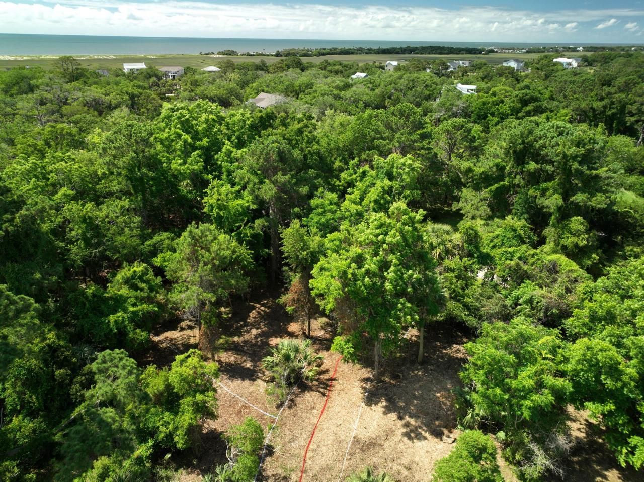 697 Jan Savage Way Photo 6