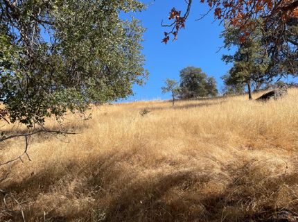 Nancys Ridge Rd, Coulterville, CA 95311 Photo