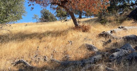 Nancys Ridge Rd, Coulterville, CA 95311 Photo