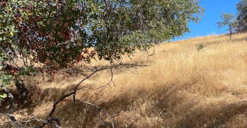 Nancys Ridge Rd, Coulterville, CA 95311 Photo