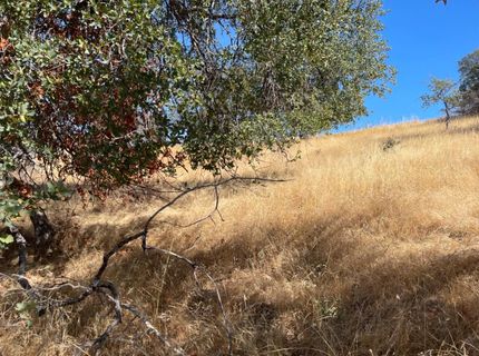 Nancys Ridge Rd, Coulterville, CA 95311 Photo