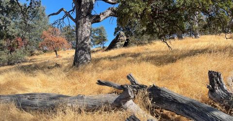 Nancys Ridge Rd, Coulterville, CA 95311 Photo