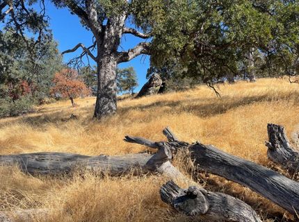 Nancys Ridge Rd, Coulterville, CA 95311 Photo