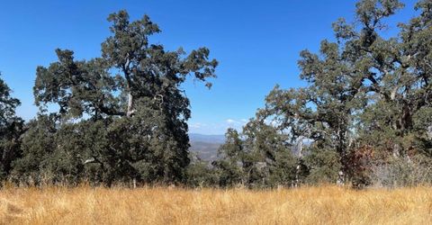 Nancys Ridge Rd, Coulterville, CA 95311 Photo