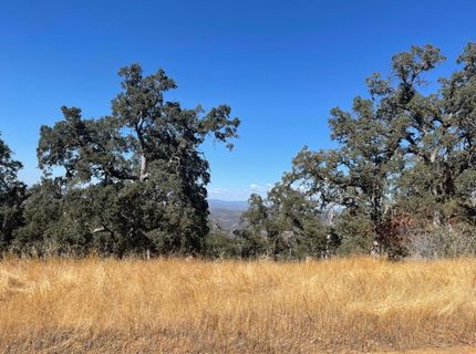 Nancys Ridge Rd, Coulterville, CA 95311 Photo