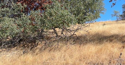 Nancys Ridge Rd, Coulterville, CA 95311 Photo