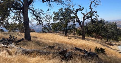 Nancys Ridge Rd, Coulterville, CA 95311 Photo