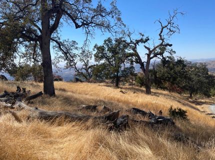 Nancys Ridge Rd, Coulterville, CA 95311 Photo